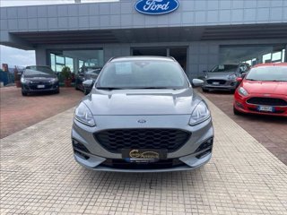 FORD Kuga 2.0 ecoblue ST-Line 2wd 120cv auto