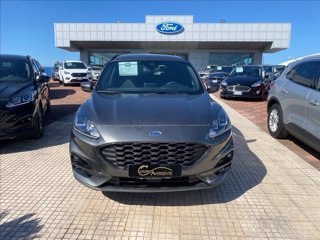 FORD Kuga 1.5 ecoblue ST-Line 2wd 120cv