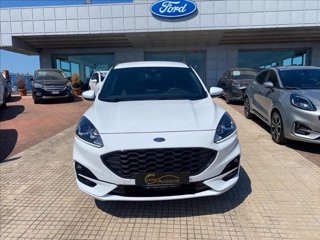FORD Kuga 2.0 ecoblue ST-Line 2wd 120cv auto