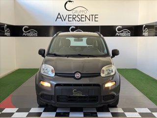 FIAT Panda 1.0 firefly hybrid City Life s&s 70cv