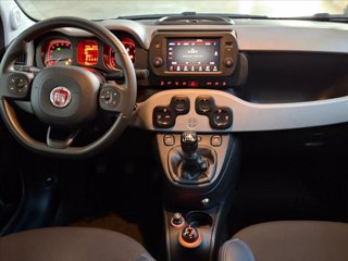 FIAT Panda 0.9 t.air t. City Cross 4x4 s&s 85cv