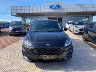 FORD Kuga 2.0 ecoblue ST-Line 2wd 120cv auto