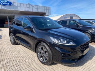 FORD Kuga 2.0 ecoblue ST-Line 2wd 120cv auto