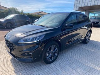 FORD Kuga 2.0 ecoblue ST-Line 2wd 120cv auto
