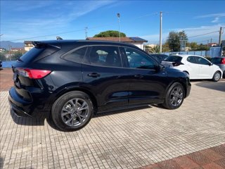 FORD Kuga 2.0 ecoblue ST-Line 2wd 120cv auto