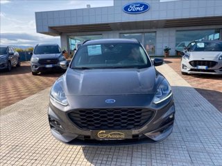 FORD Kuga 1.5 ecoblue ST-Line 2wd 120cv