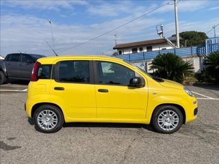 FIAT Pandina 1.0 firefly hybrid s&s 70cv