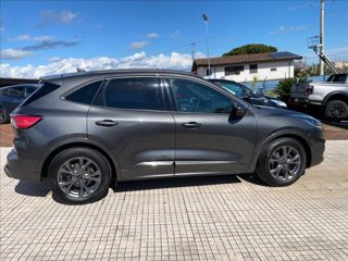 FORD Kuga 1.5 ecoboost ST-Line 2wd 150cv