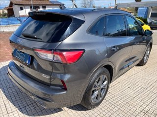 FORD Kuga 1.5 ecoboost ST-Line 2wd 150cv