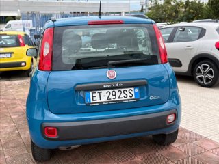 FIAT Panda 1.3 mjt 16v Easy 75cv