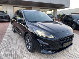 FORD Kuga 1.5 ecoblue ST-Line X 2wd 120cv auto